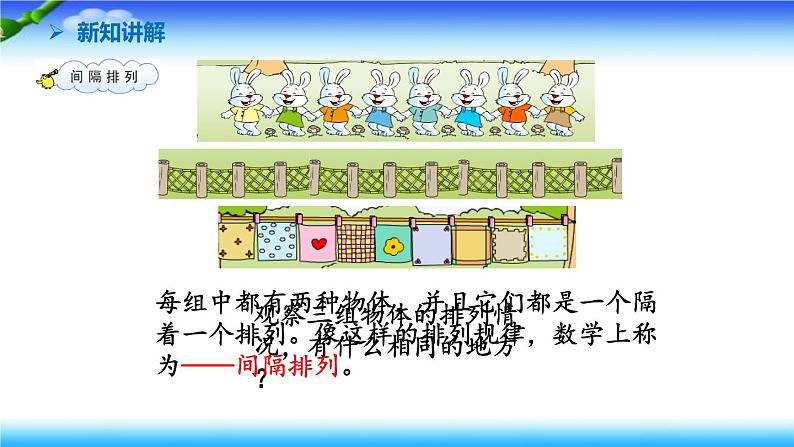 苏教版数学三年级上册5.5 间隔排列(课件）07