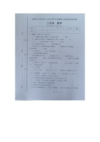 云南省玉溪市红塔区乡镇联考2023-2024学年三年级上学期11月期中数学试题