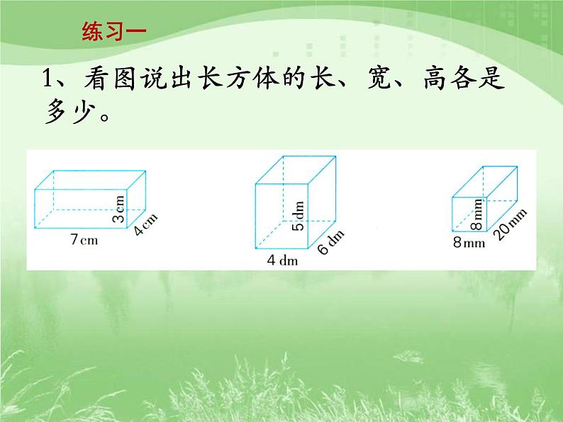 苏教版数学六年级上册第一单元、长方体和正方体 《练习一》教学课件02