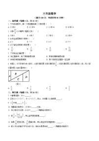 上海市黄浦区2023-2024学年六年级上学期期中数学试题(无答案)