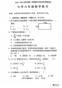 广东省茂名市化州市2023-2024学年六年级上学期11月期中数学试题