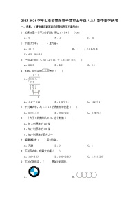 2023-2024学年山东省青岛市平度市五年级上学期期中数学试卷（含答案解析）