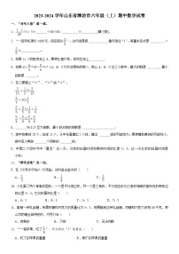 山东省潍坊市2023-2024学年六年级上学期期中数学试卷