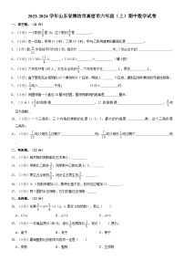 山东省潍坊市高密市2023-2024学年六年级上学期期中数学试卷