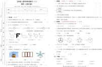 甘肃省定西市岷县西寨九年制学校2023-2024学年五年级上学期期中考试数学试题