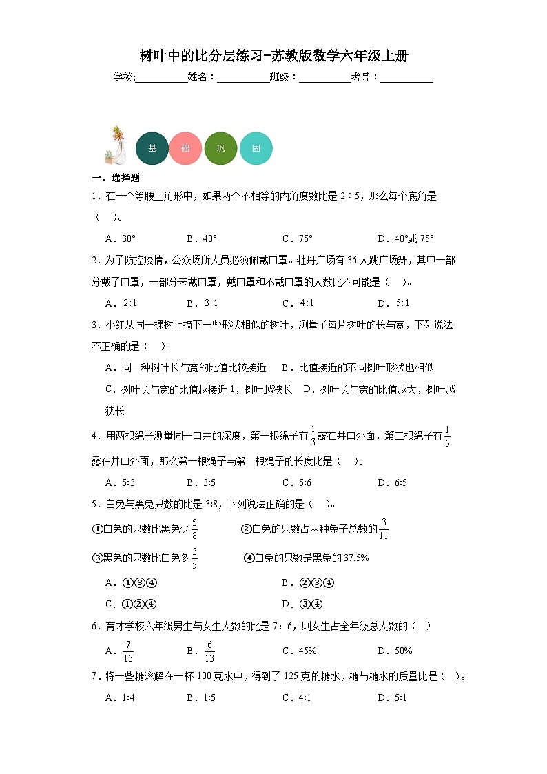 树叶中的比分层练习-苏教版数学六年级上册第1页