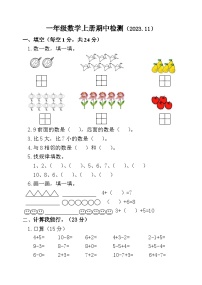 山东省聊城市莘县实验小学2023-2024学年一年级上学期期中考试数学试题