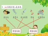 苏教版数学一年级上册 三 分一分习题课件