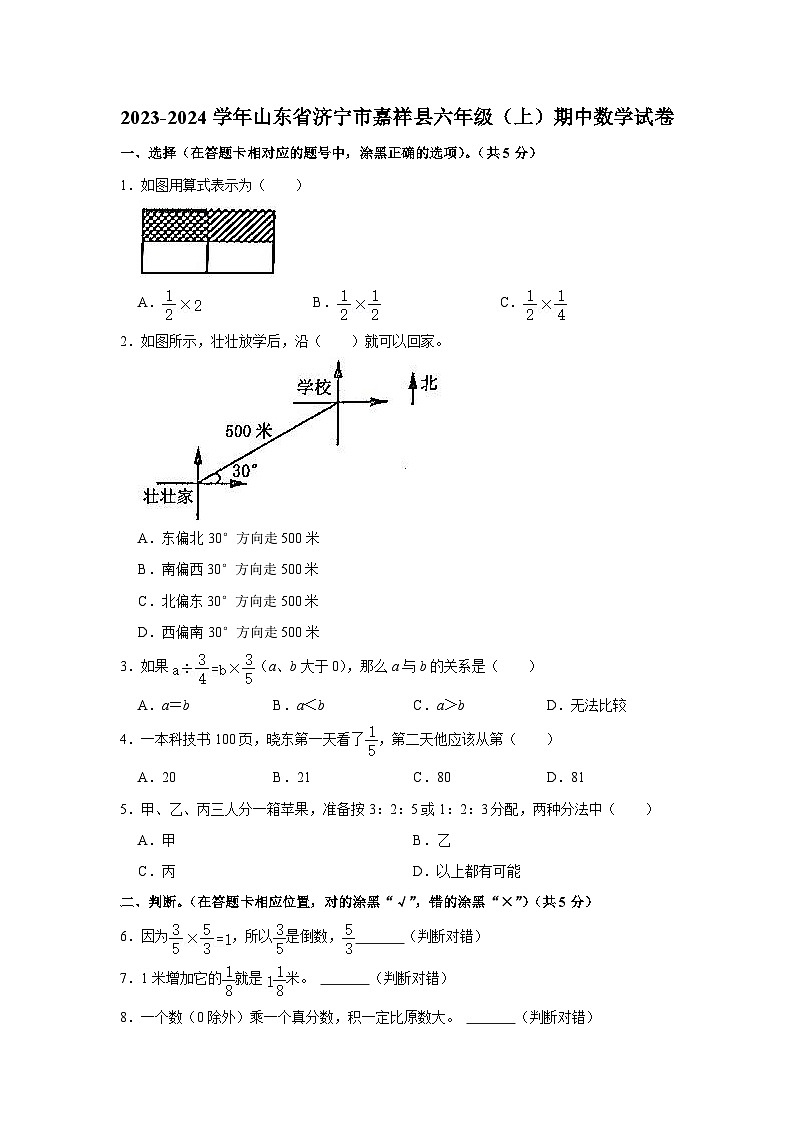 山东省济宁市嘉祥县2023-2024学年六年级上学期期中数学试卷01