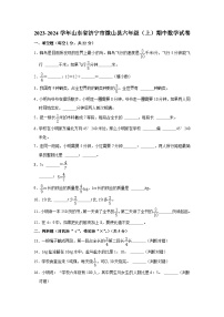 山东省济宁市微山县2023-2024学年六年级上学期期中数学试卷