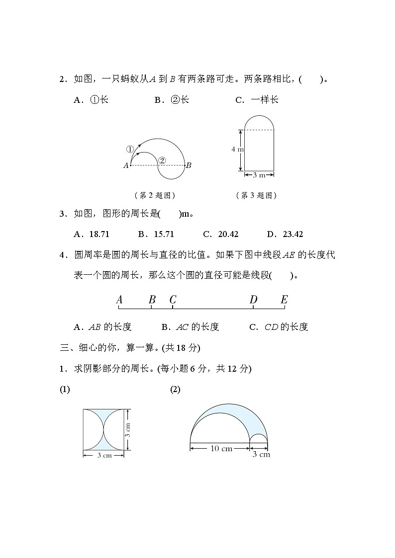 人教版数学六上 圆的周长的计算及实际应用 核心考点测评（含答案）02