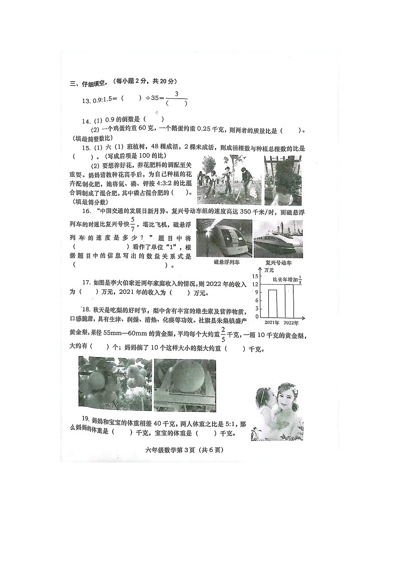 河南省南阳市社旗县2023-2024学年六年级上学期11月期中数学试题03