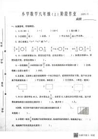 江苏省泰州市兴化市2023-2024学年六年级上学期期中阶段作业数学试卷