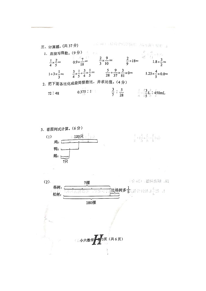 河南省南阳市唐河县2023-2024学年上学期六年级上数学期中试卷（图片版无答案）03