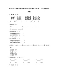 河南省平顶山市叶县城区2023-2024学年一年级上学期期中数学试卷