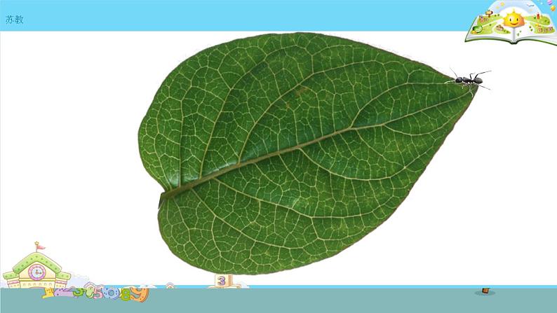 认识周长 课件第2页