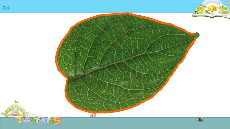 认识周长 课件第3页