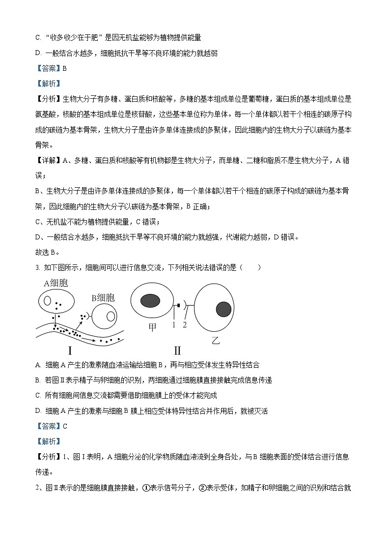 广东省阳江市阳东区2023-2024学年二年级上学期期中课堂练习数学试题02