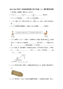 广东省汕尾市陆丰市2023-2024学年六年级上学期期中数学试卷