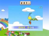 青岛版（六三制）数学二年级下册 四 勤劳的小蜜蜂——万以内的加减法（一）1 两位数加减两位数的口算课件