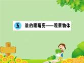青島版（六三制）數(shù)學(xué)二年級(jí)下冊(cè) 五 誰(shuí)的眼睛亮——觀察物體學(xué)案課件