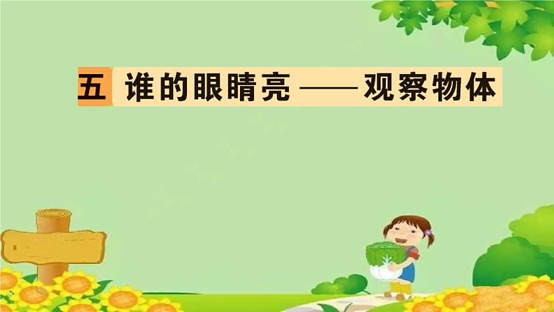 五 谁的眼睛亮——观察物体第1页