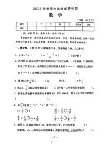 河南省三门峡市湖滨区2023-2024学年六年级上学期期中数学试题