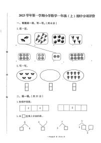 浙江省温州市瑞安市2023-2024学年一年级上学期期中分项评价数学试卷