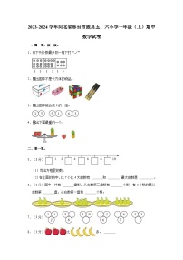 河北省邢台市威县第五、六小学2023-2024学年一年级上学期期中数学试卷