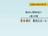 6.1数与代数（课件）六年级下册数学人教版