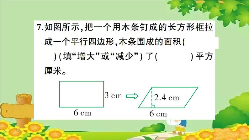 专题二 图形王国第5页