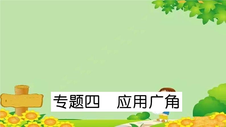 专题四 应用广角第1页