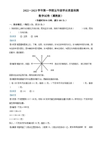 2022-2023学年河北省张家口市蔚县冀教版五年级上册期末学业质量检测数学试卷（解析版）