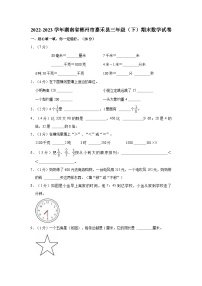 2022-2023学年湖南省郴州市嘉禾县三年级（下）期末数学试卷