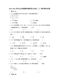 山东省淄博市高青县2023-2024学年五年级上学期期中数学试卷