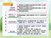 复习专题：三位数乘两位数（知识梳理+例题+练习）人教版四年级数学上册课件PPT