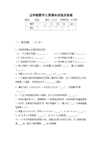 期末试卷（试题）人教版五年级上册数学