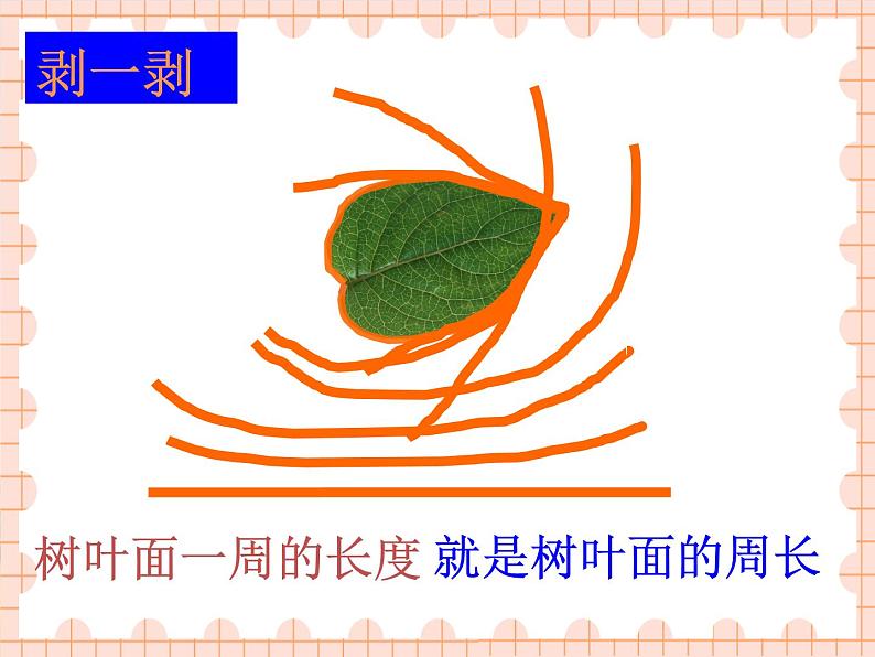 三年级上册数学西师大版《认识周长》（课件）第5页