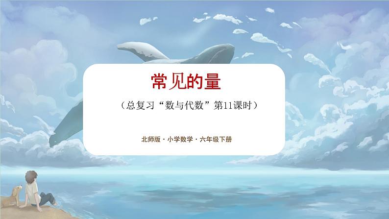 北师大版小学数学六年级下册 总复习 数与代数 第11课时《常见的量》课件+教案01