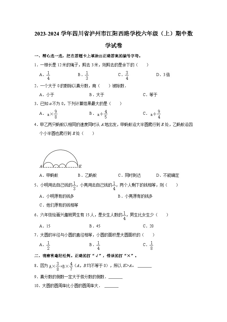 四川省泸州市江阳西路学校2023-2024学年六年级上学期期中数学试卷第1页