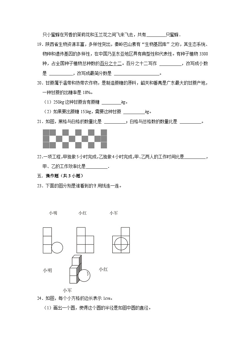 寒假作业（十二）（作业）北师大版六年级上册数学第3页
