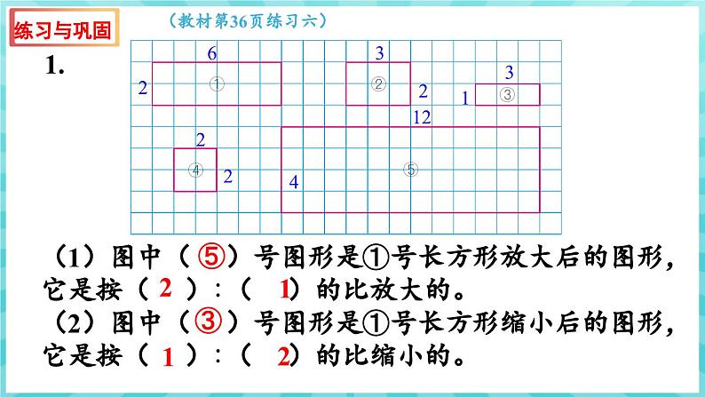 第四单元 比列 练习六 图形的放大与缩小及比例的意义（课件）苏教版六年级年级下册数学05