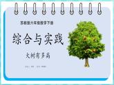 綜合與實(shí)踐 大樹(shù)有多高（課件）蘇教版六年級(jí)年級(jí)下冊(cè)數(shù)學(xué)