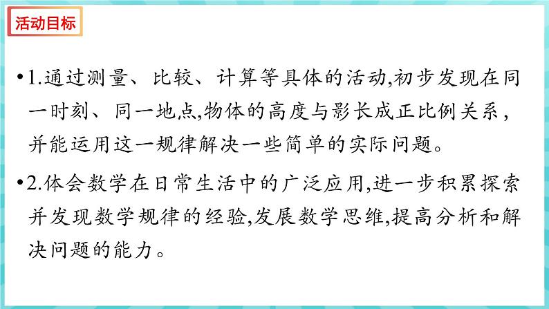 综合与实践 大树有多高（课件）苏教版六年级年级下册数学02