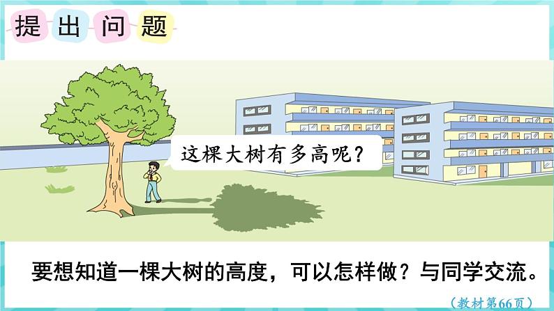 综合与实践 大树有多高（课件）苏教版六年级年级下册数学04