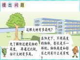 综合与实践 大树有多高（课件）苏教版六年级年级下册数学