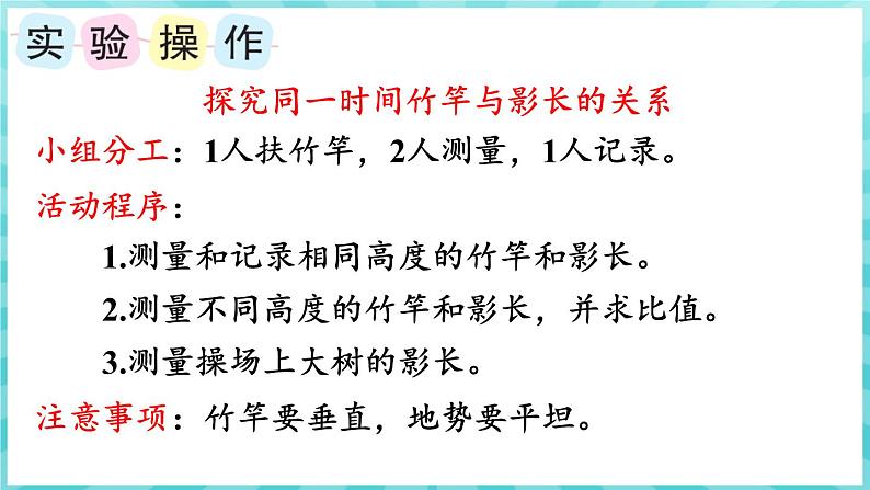 综合与实践 大树有多高（课件）苏教版六年级年级下册数学06