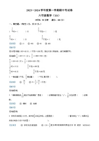 2023-2024学年河南省周口市沈丘县县直小学等校人教版六年级上册期中测试数学试卷（解析版）