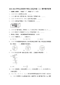 山东省济宁市汶上县2023-2024学年五年级上学期期中数学试卷