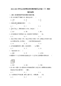 山东省青岛市西海岸新区2022-2023学年五年级下学期期末数学试卷